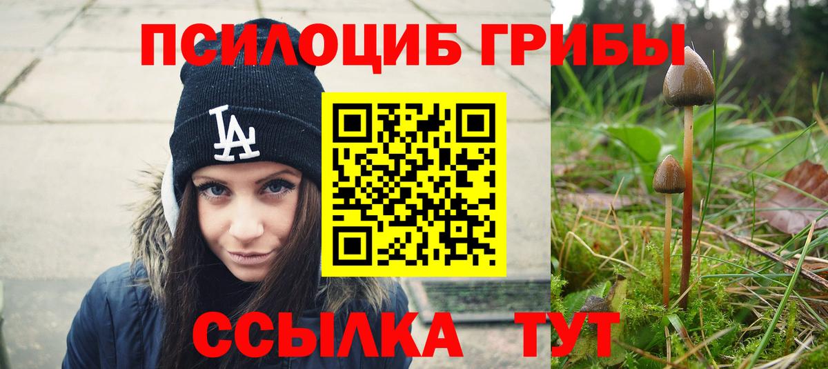 Псилоцибиновые грибы мухоморы Шадринск