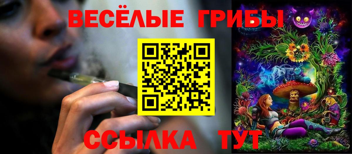 Шадринск  Псилоцибиновые грибы MAGIC MUSHROOMS  Псилоцибиновые грибы ЛСД  Вход с VPN 